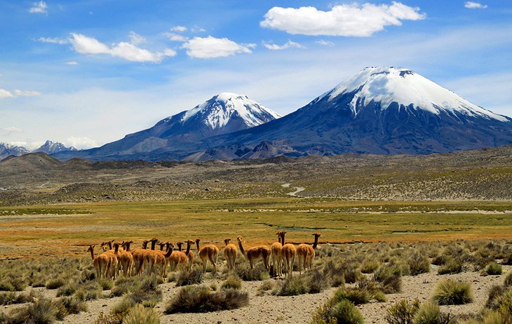 Lauca National Park