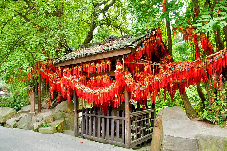 The Wenshu Monastery (Manjushri Monastery)