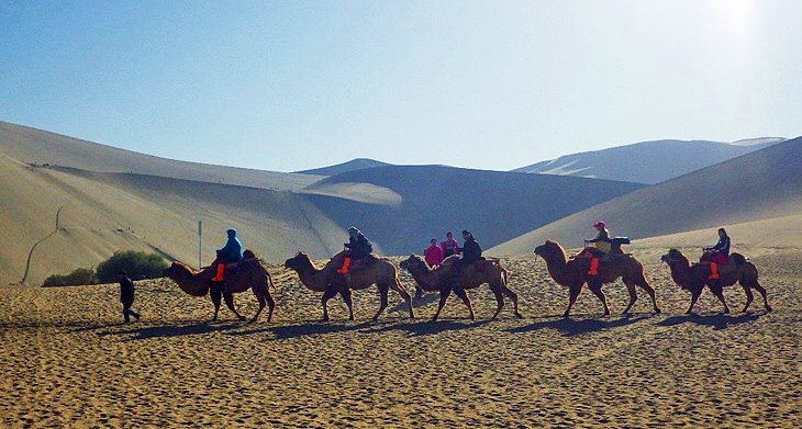 Camel rides and people playing in the dunes