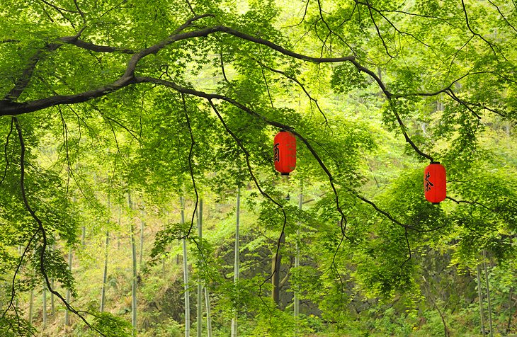 12 atracciones turísticas y cosas para hacer mejor valoradas en Hangzhou