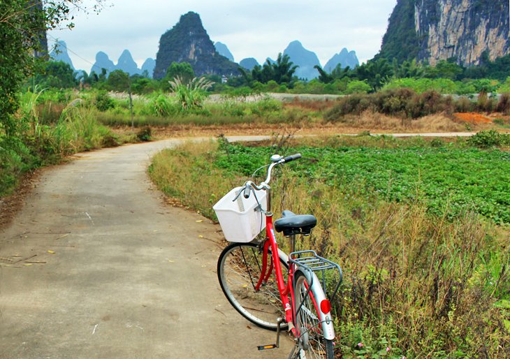 Biking near Camel Crossing the River