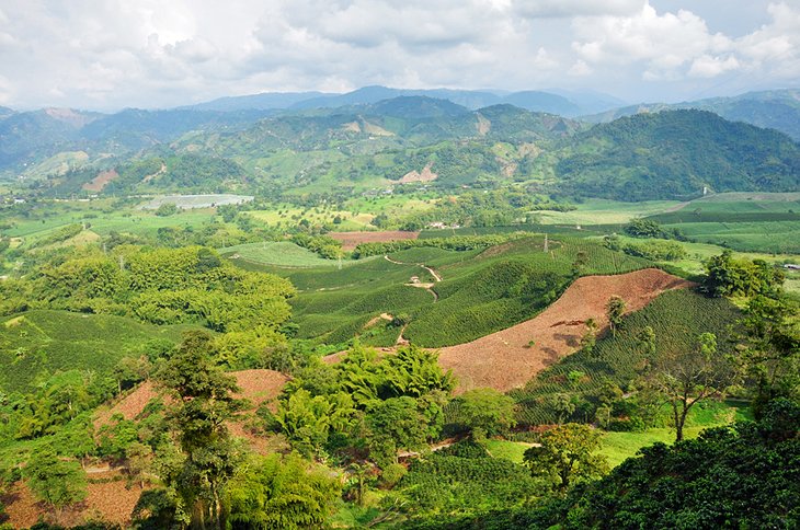 Eje Cafetero