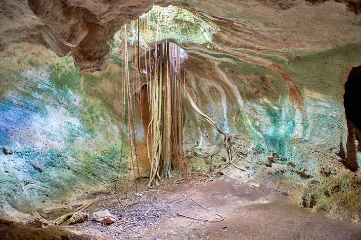 Parque Ecológico Varahicacos (Varadero Ecological Park)