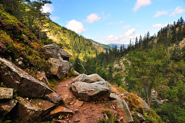 Krkonose National Park