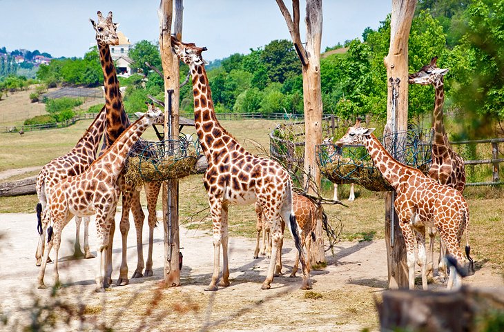 20 atracciones turísticas mejor valoradas en Praga