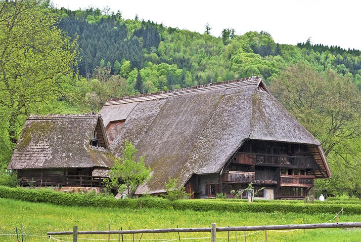 The Black Forest Museum