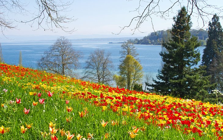 Insel Mainau: the Flower Island of Lake Constance