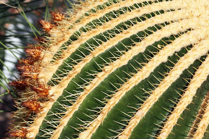 Leipzig Botanical Garden