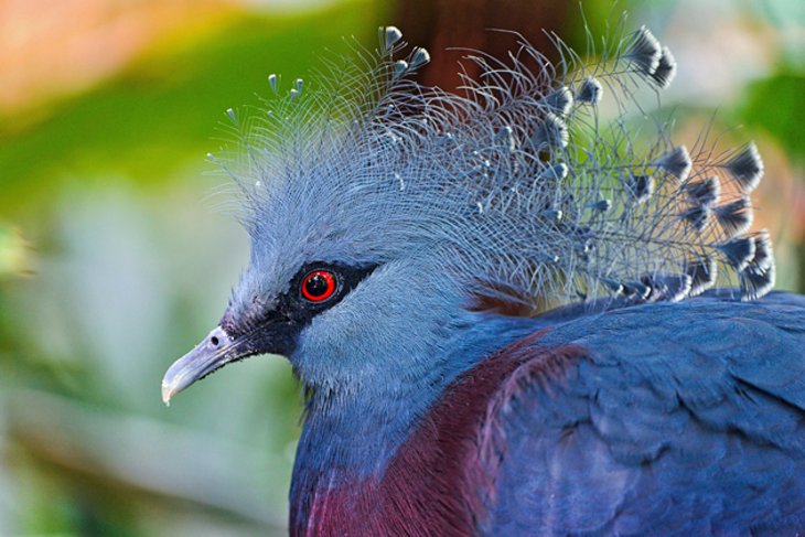 Zoo Frankfurt