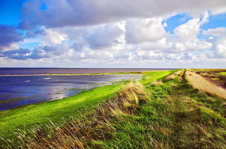 Wadden Sea National Park