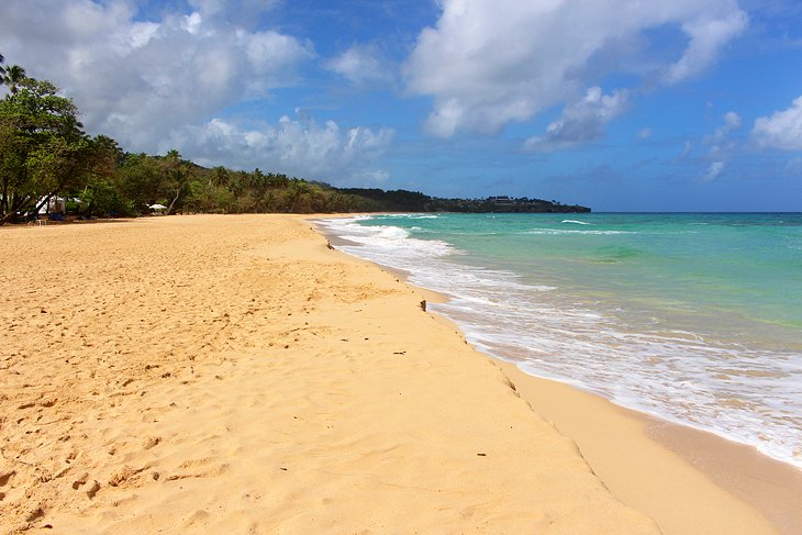 12 playas mejor valoradas en la República Dominicana