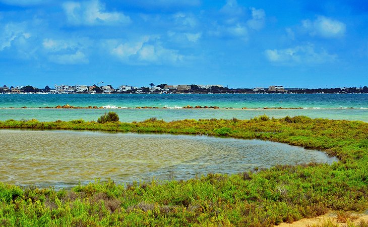 Parque Natural de Ses Salines (Formentera Island)
