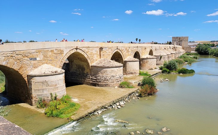 Puente Romano et Tour Calahorra