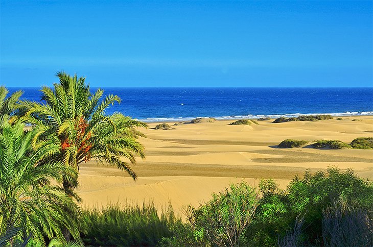 Maspalomas Dunes