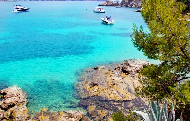 The Calvia Coastline