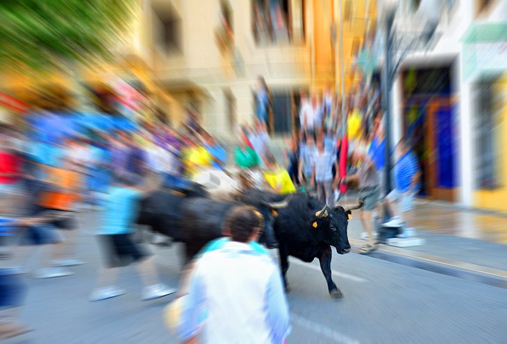 Running of the Bulls (Fiesta de San Fermín)