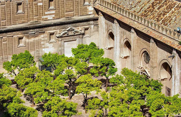 Patio de los Naranjos