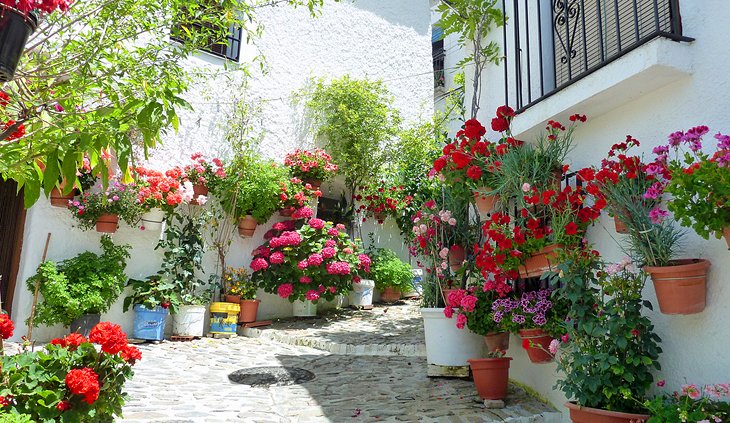 Pampaneira: A Whitewashed Alpujarras Village