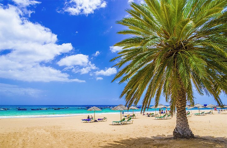 The Beaches of Tenerife