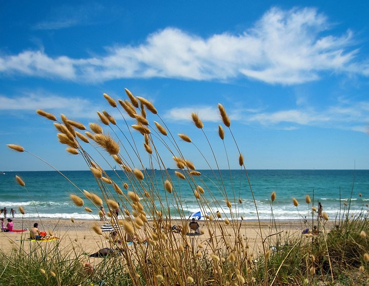 Playa del Saler