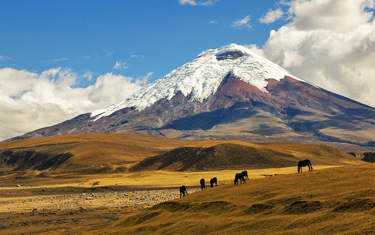 10 atracciones turísticas mejor valoradas en Ecuador