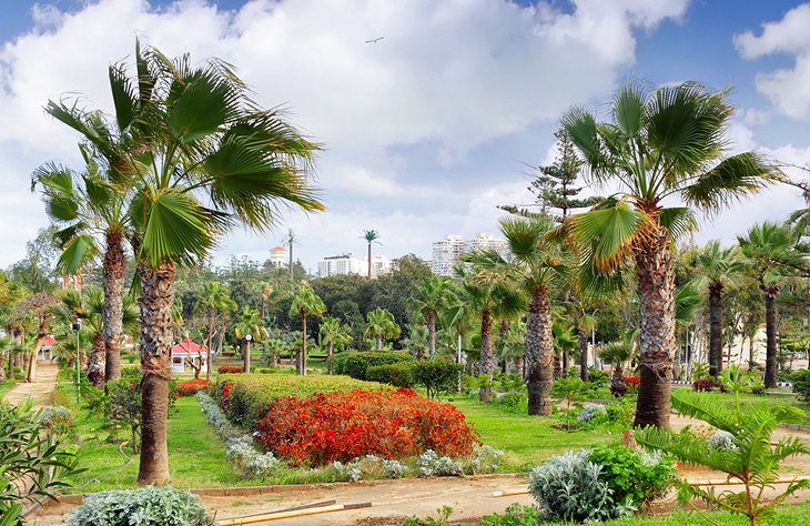 Montazah Gardens