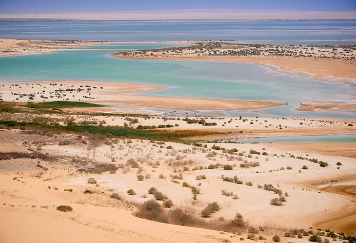 Al-Fayoum