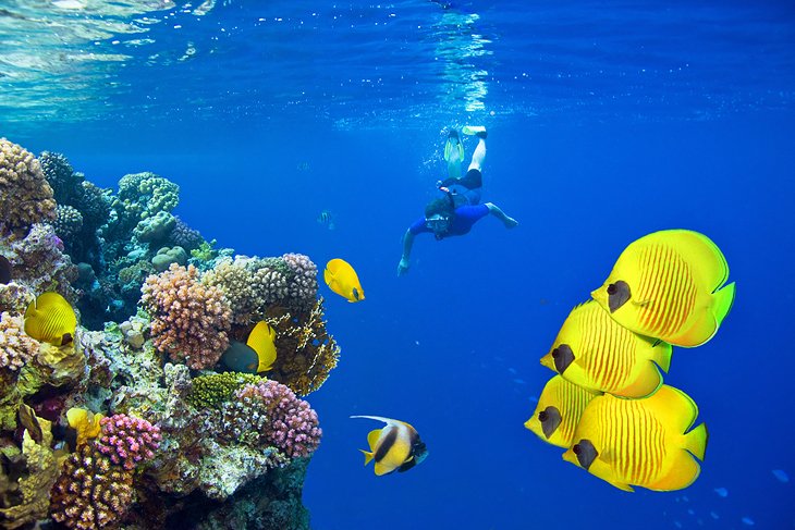 Snorkeling at  Marsa Alam