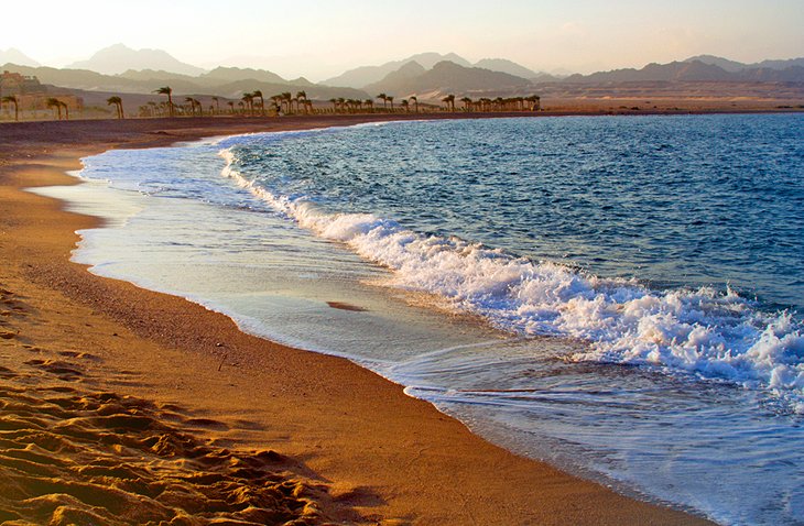 Nabq Protected Area, Sharm El Sheikh, Egypt