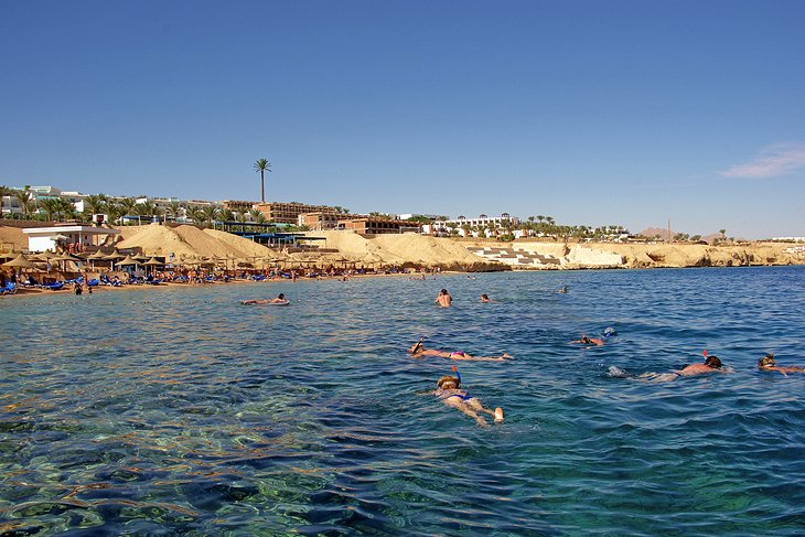 خليج القرش أو شاركس باي، من أهم المناطق السياحية في شرم الشيخ