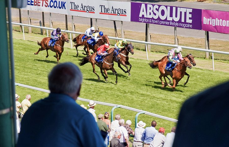 Brighton Racecourse