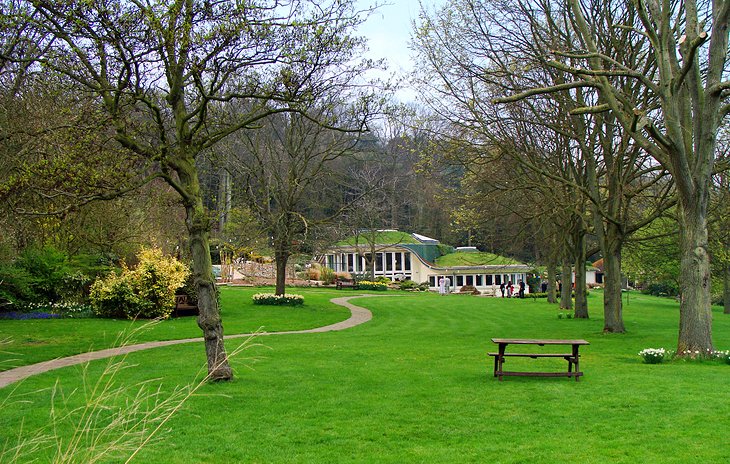 The Pines Garden Tea Room & Museum