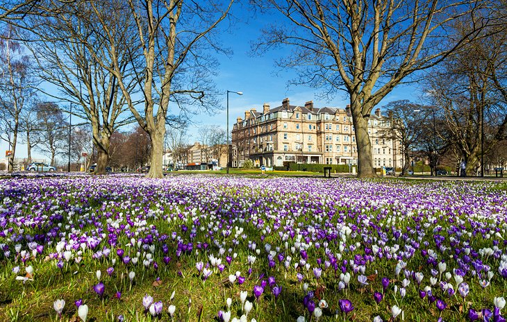 15 atracciones turísticas mejor valoradas en Leeds