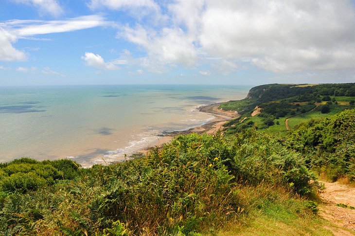 Hastings Country Park Nature Reserve