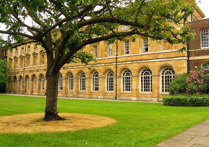 The Abbey Gardens