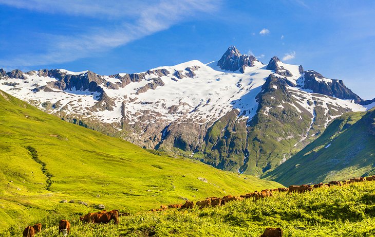 The French Alps