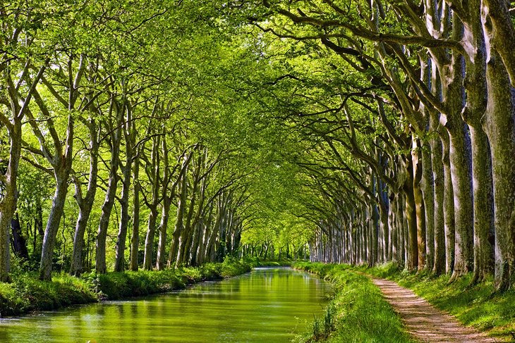 Canal du Midi