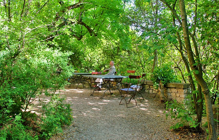 The garden of Cézanne's atelier