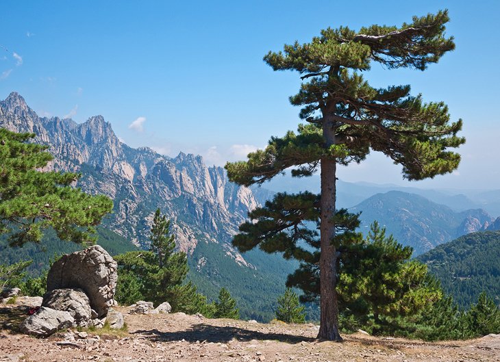 Col de Bavella