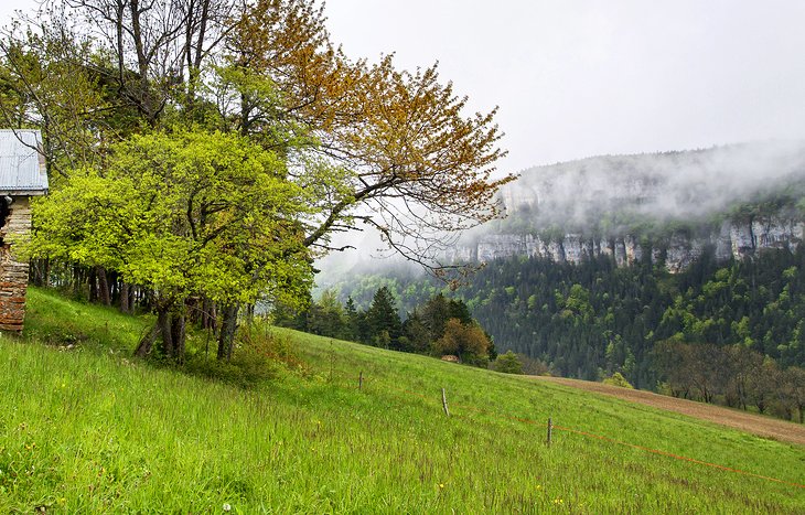 Parc Naturel Régional du Vercors