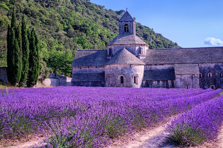 Abbaye Notre-Dame de Sénanque