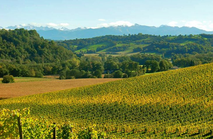 Jurançon Countryside and Montagnes Béarnaises