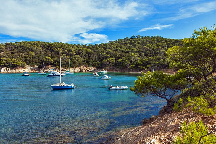 Île de Porquerolles