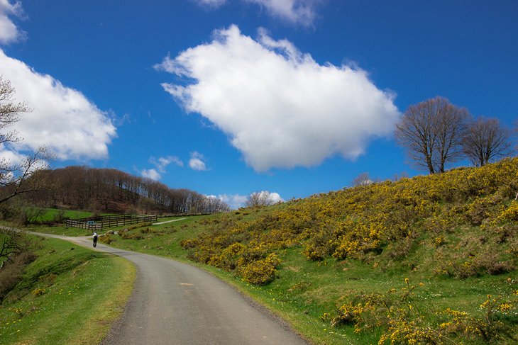 Route Napoléon on the Camino de Santiago