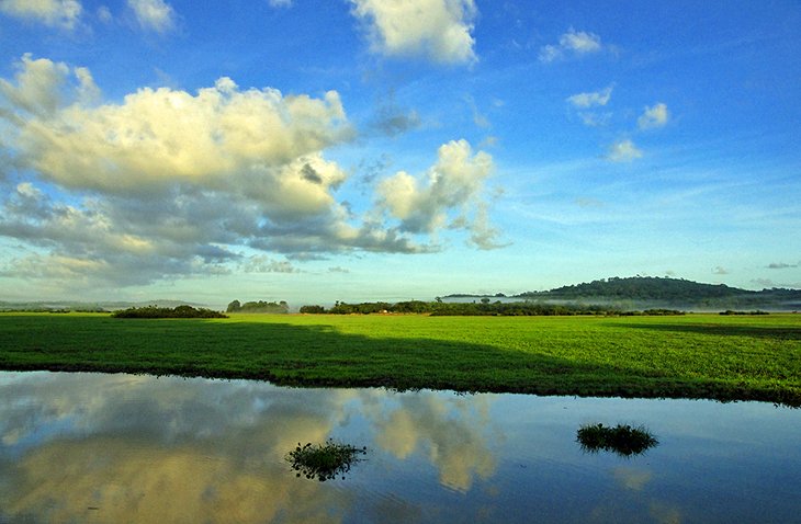 Tresor Nature Reserve, Kaw