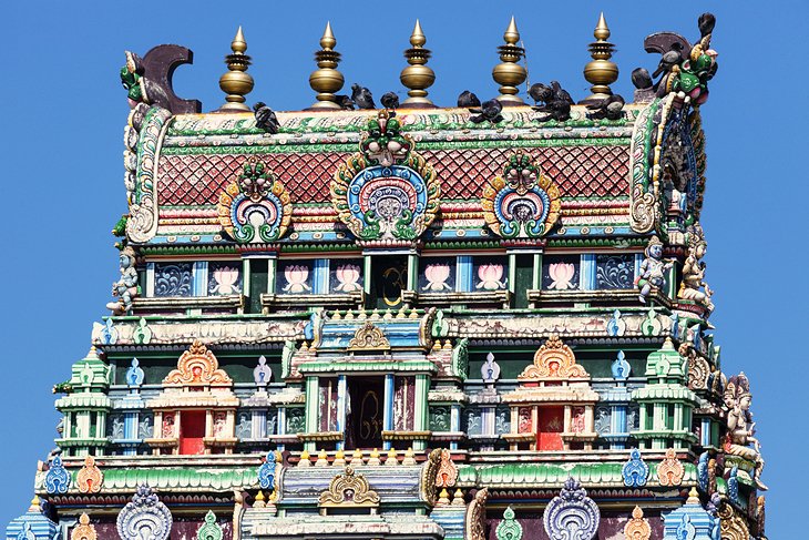 Temple Sri Siva Subramaniya, Nadi