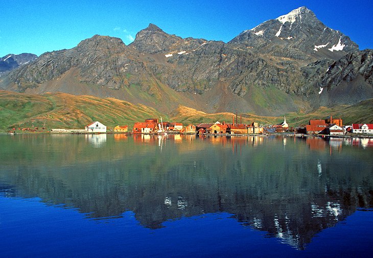 Leith Harbor, South Georgia Island