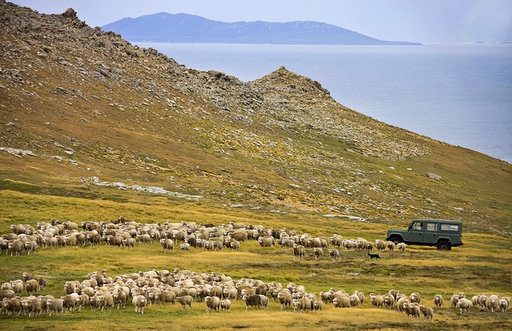 West Falkland Island and Port Howard