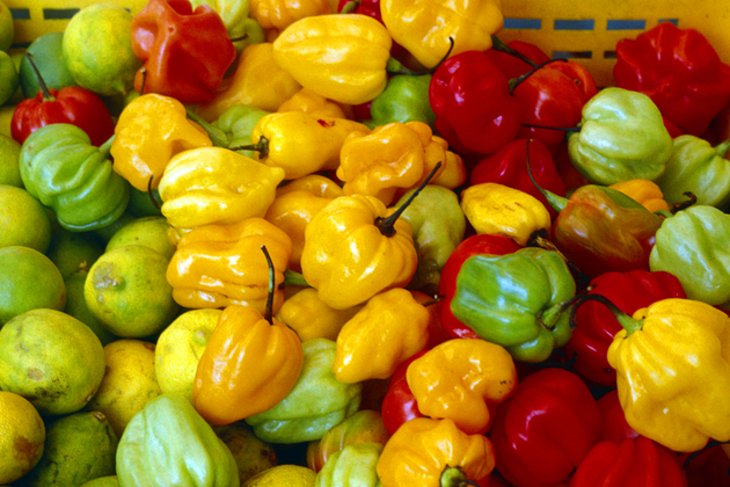 Peppers for sale in Pointe-a-Pitre