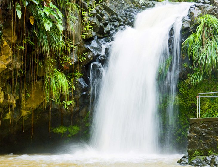 Annandale Falls